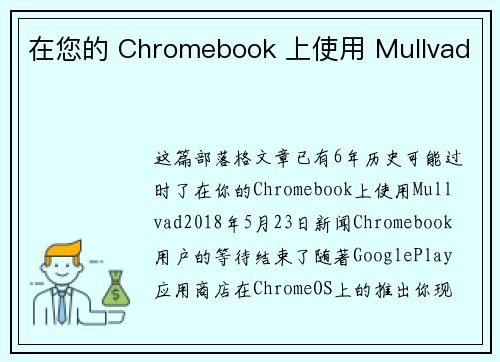 在您的 Chromebook 上使用 Mullvad 